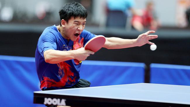 他冷静地掌 他冷静地掌