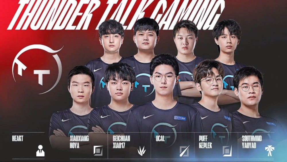 他们在关键 他们在关键